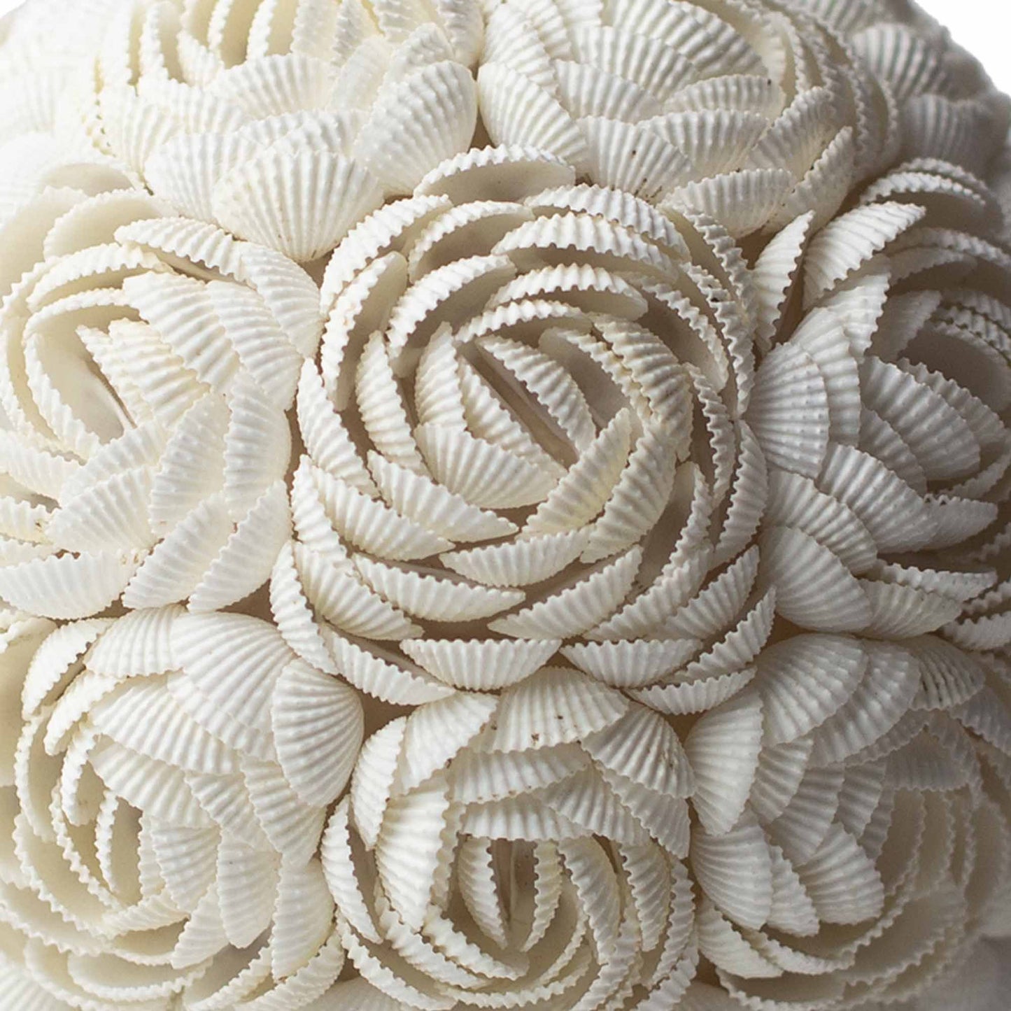Authentic Boho Seashell Lamp – Rose Oval, 15cm perspective detail 7 showcasing clean geometry and natural material finishes