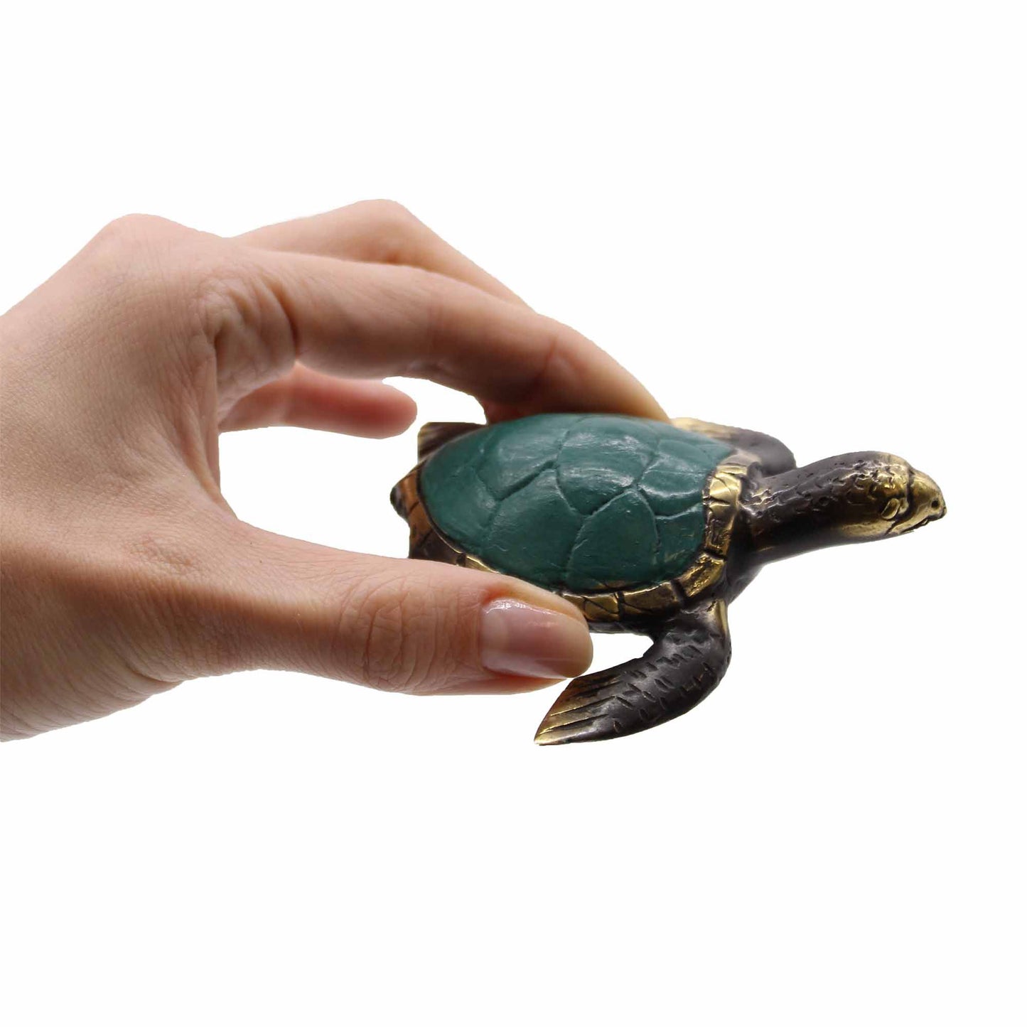Authentic Sea Turtles - Set of 3 perspective detail 2 showcasing clean geometry and natural material finishes