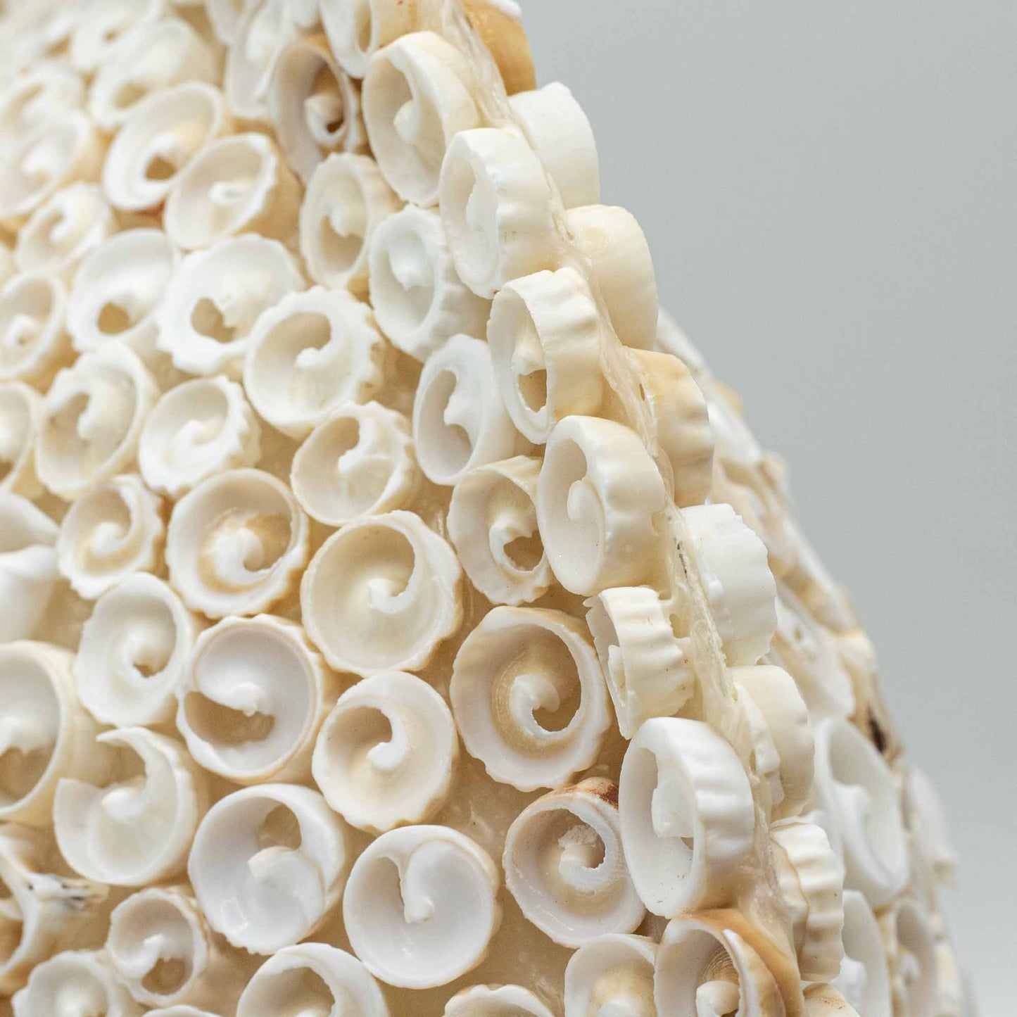 Authentic Boho Seashell Lamp – Cut Art Shell, Large Round, 30cm perspective detail 8 showcasing clean geometry and natural material finishes