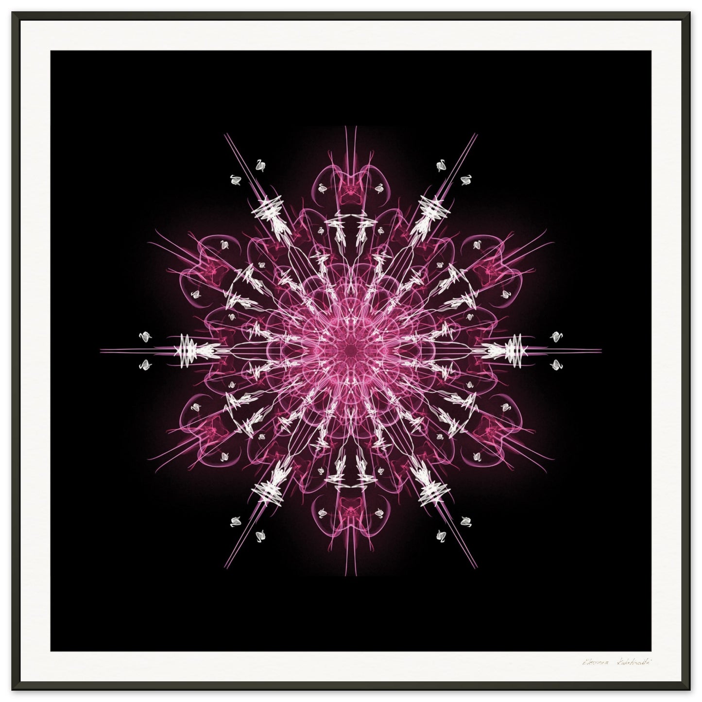 1192dc8e-440d-4a16-a157-c7b5946b21ff