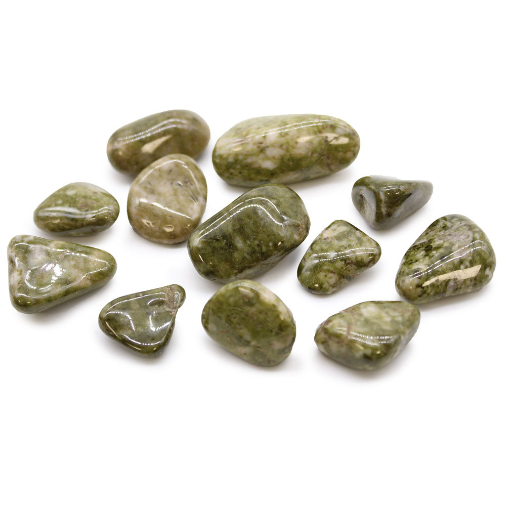 Epidote snowflake medium African tumble stones bag of 12 — natural beauty crystal collection