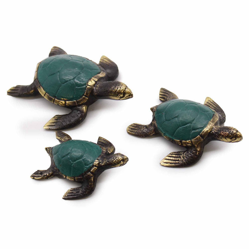 Authentic Sea Turtles - Set of 3 showcasing clean geometry and natural material finishes