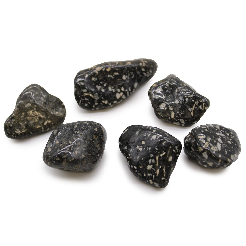 Authentic Bag of 6 Large African Tumble Stones - Guinea Fowl Bag of 6 Large showcasing clean geometry and natural material finishes