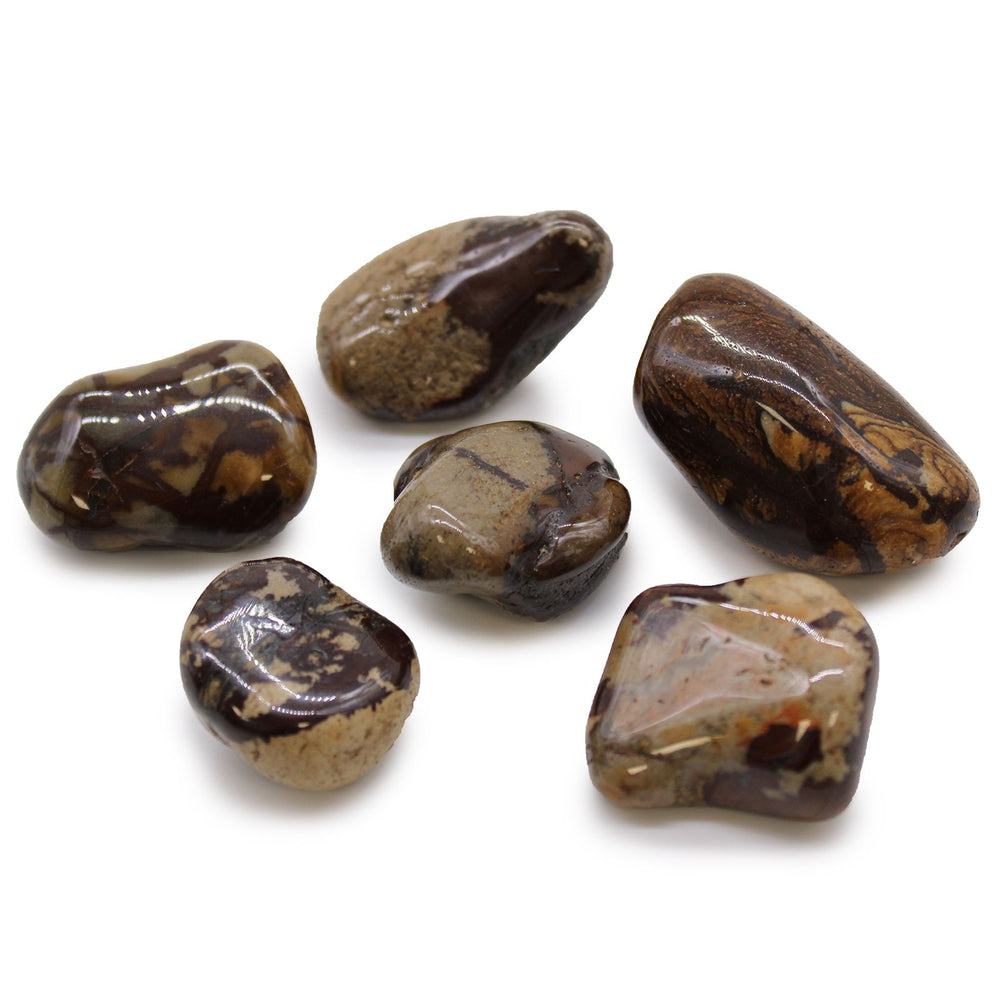 Jasper Nguni large African tumble stones bag of 6 — distinctive banded grounding crystal collection